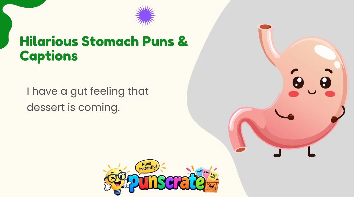 Hilarious Stomach Puns & Captions