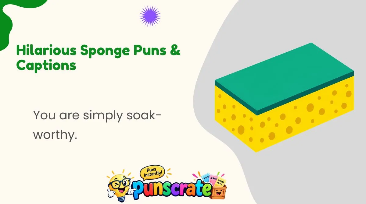 hilarious-sponge-puns-and-captions Hilarious Sponge Puns & Captions